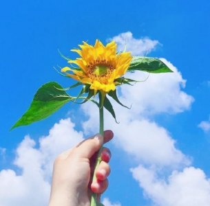 ​毕业留言唯美句子大全(我愿你前程似锦，哪怕前程里不再相见)