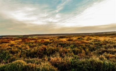 ​微信情侣签名唯美简短  细水长流煮红豆