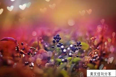 ​男孩子成长的句子经典语录（64句夸赞男孩子成长的短句）