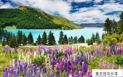 ​爱护自己的短句（自己简短正能量唯美语录51句）