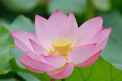 ​关于沧海桑田的唯美句子（描写沧海桑田的经典短句）