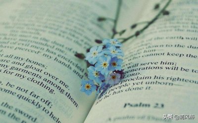 ​描写雨中美景的优美句子（下雨的浪漫唯美句子）