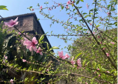 ​四月你好唯美句子简短（四月你好经典语录）