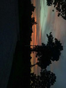 ​优美唯美的句子较长文案（18）