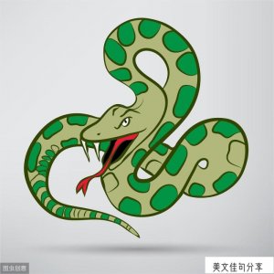​有关蛇的成语（带蛇字的四字词语故事和解释）