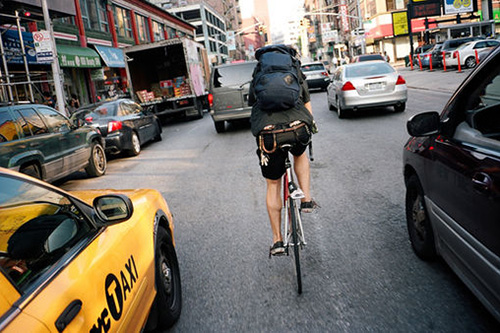 动物的优美句子84句