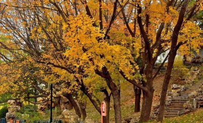 ​22句正能量句子（多看点儿书多挣点儿钱少想没用的）