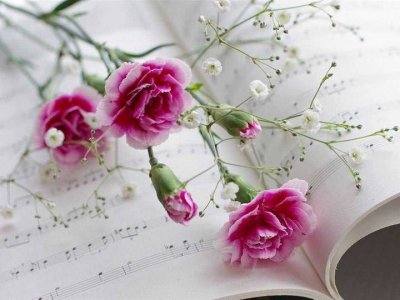 ​感恩父母养育之恩的一段话（35句感恩父母最朴实的句子）