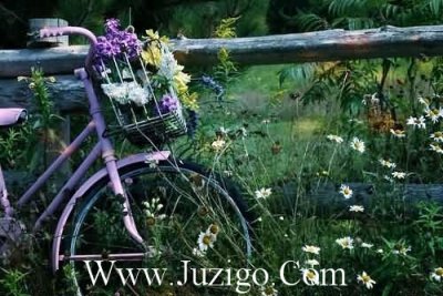 ​励志鸡汤经典词句励志鸡汤语录(精选75句)