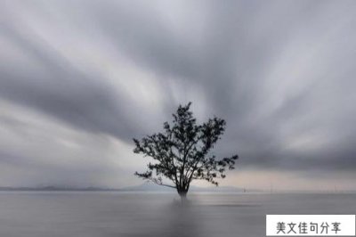 ​一个人不孤单想念一个人才孤单（又见不到的说说31句）