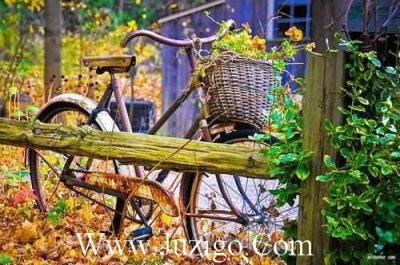 ​新的一天新的开始唯美句子(2023新的开始朋友圈说说)