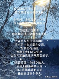 ​适合朋友圈描述雪景的唯美句子