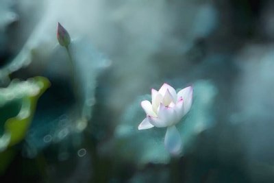 ​关于青春的唯美句子，还能描绘多少