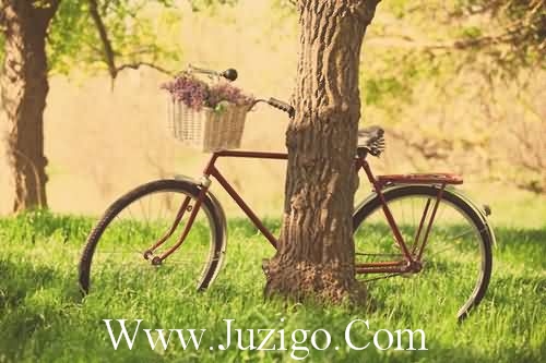 形容春天的唯美短句形容春天的句子唯美短句(精选30句)