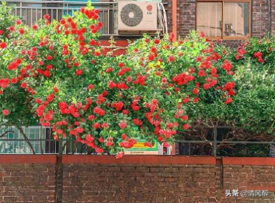 ​人变了言而无信的经典句子委屈说说