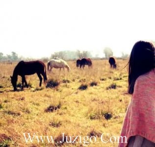 ​关于钢琴的唯美句子描写弹钢琴的优美句子(39句)