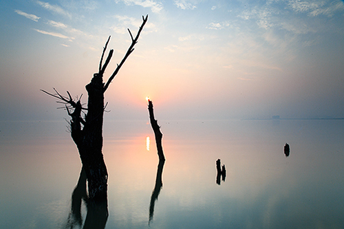 描写冬至的优美句子 简短(21句)