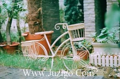 ​蝶恋花句子蝶恋花经典句子(精选80句)