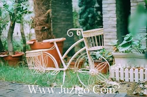 蝶恋花句子蝶恋花经典句子(精选80句)