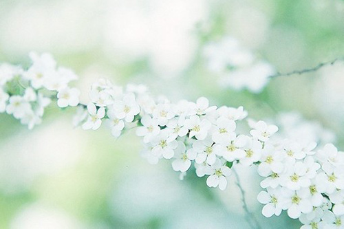 陆琪经典语录80句