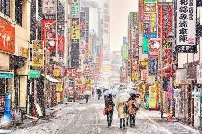 ​2023清明节优美句子文案(精选95句)