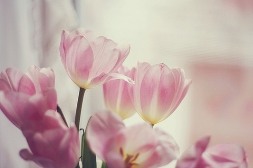 2023适合发朋友圈的早安说说简短(精选89句)