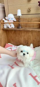 ​适合闺蜜们相聚发的唯美句子