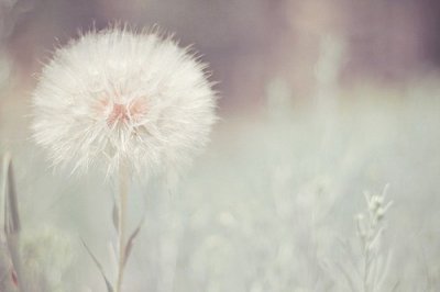 ​关于世事无常大肠包小肠的句子感叹世事无常经典语录