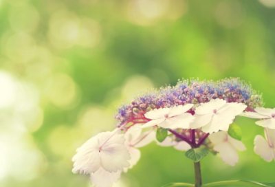 ​有内涵的网名389个