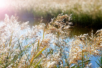 微信成熟网名男生