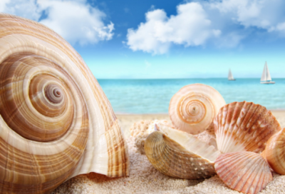 ​非主流QQ网名男生245个