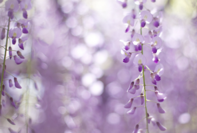 ​寓意公司发展好的名字(优选162个)