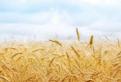 ​牛逼的男生网名225个