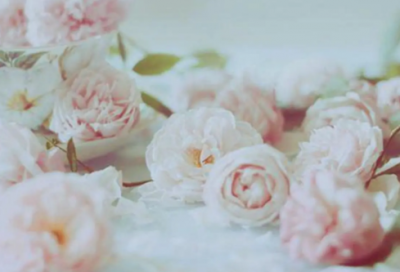 ​平凡的网名172个