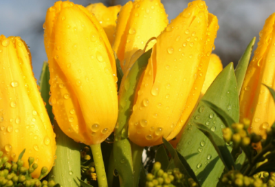 ​王者荣耀名字大全182个