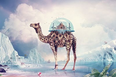 ​十分经典的佛语语录(精选67句)