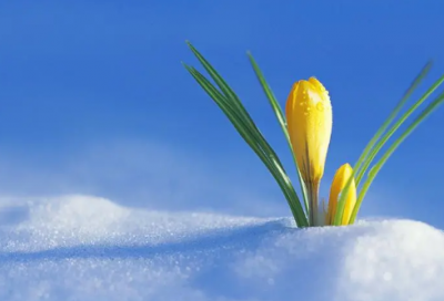 ​简单独特的微信网名236个