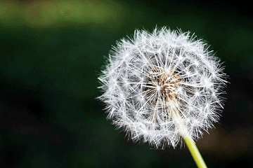 适合女孩子的游戏名字可爱