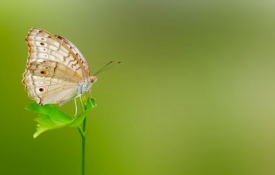 ​征途游戏名大全精选100个