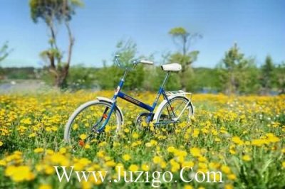 ​形容老师的比喻句子28句