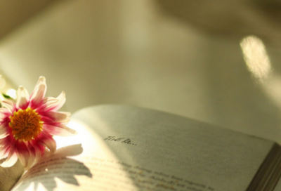 ​王者荣耀气死人的名字(