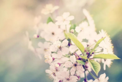 ​好听的游戏名字大全女生最新精选71个