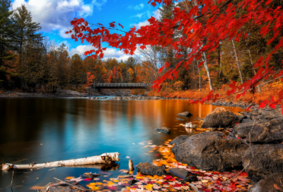 ​又是月圆时作文