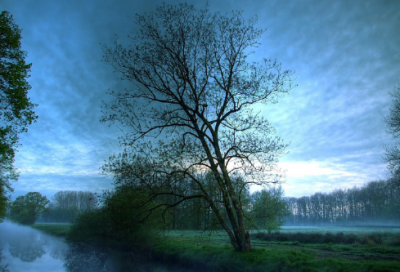 ​医院见习总结19篇