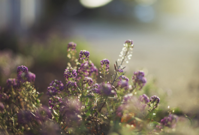 ​感谢老师的鼓励作文（通用60篇）