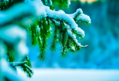 ​弘扬中国传统文化作文（通用70篇）