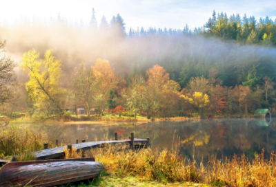 ​关于母亲节的作文500字（精选62篇）