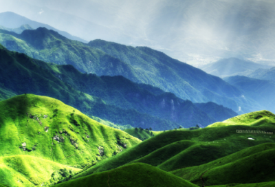 ​我与书的故事作文500字