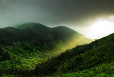 ​开在记忆深处的花作文800字