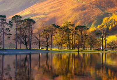 ​五年级语文《我的长生果》优秀教案一等奖